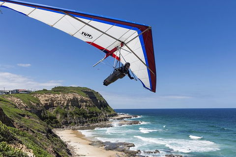 Newcastle And Central Coast Private Shore Excursion | Departs Newcastle Port - Accommodation Brisbane 5