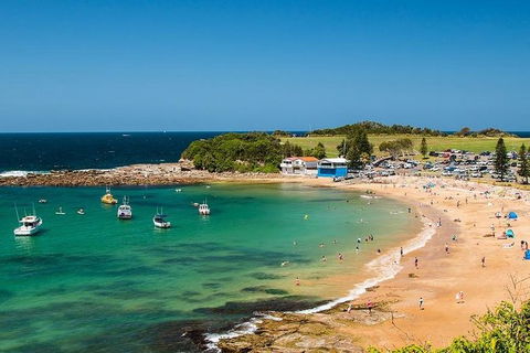 Newcastle And Central Coast Private Shore Excursion | Departs Newcastle Port - Accommodation Brisbane 8