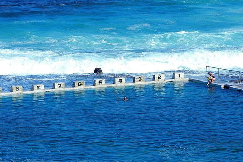 Newcastle And Central Coast Private Shore Excursion | Departs Newcastle Port - Accommodation Brisbane 4