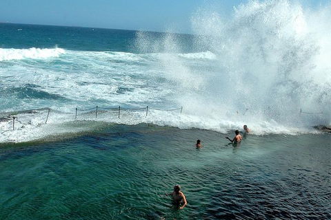 Newcastle And Central Coast Private Shore Excursion | Departs Newcastle Port - Accommodation Brisbane 9