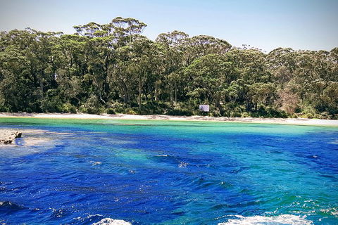Jervis Bay Passage Tour - Accommodation Brisbane 1