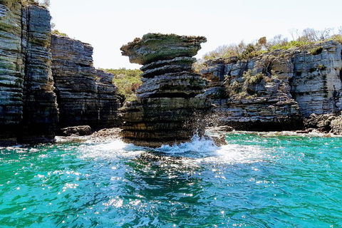 Jervis Bay Passage Tour - Accommodation Brisbane 15