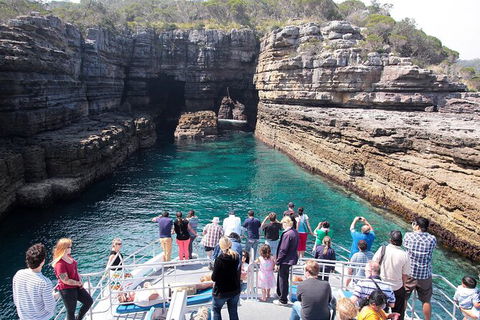 Jervis Bay Passage Tour - Accommodation Brisbane 3
