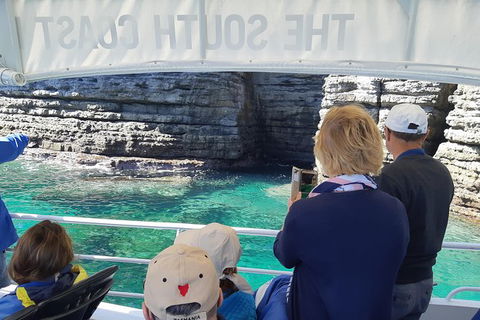 Jervis Bay Passage Tour - Accommodation Brisbane 7