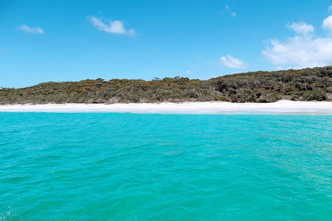 Jervis Bay Passage Tour - Accommodation Brisbane 10