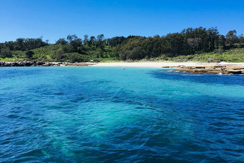 Jervis Bay Passage Tour - Accommodation Brisbane 2