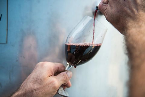 Urban Winery Sydney: Winery Tour And Tasting - Accommodation Brisbane 5