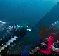 5-Hour Byron Bay Introductory Scuba Diving Tour - Accommodation Brisbane