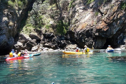Batemans Bay Glass-Bottom Kayak Tour Over 2 Relaxing Hours - Accommodation Brisbane 1