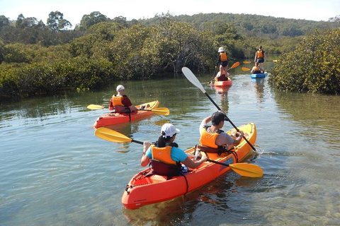 Batemans Bay Glass-Bottom Kayak Tour Over 2 Relaxing Hours - Accommodation Brisbane 4