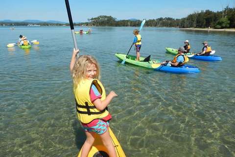 Batemans Bay Glass-Bottom Kayak Tour Over 2 Relaxing Hours - Accommodation Brisbane 2