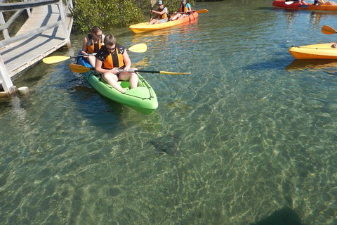 Batemans Bay Glass-Bottom Kayak Tour Over 2 Relaxing Hours - Accommodation Brisbane 5