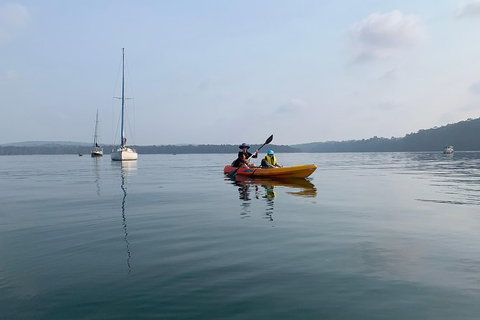 Batemans Bay Glass-Bottom Kayak Tour Over 2 Relaxing Hours - Accommodation Brisbane 7