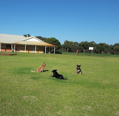 Meet The Animals - Accommodation Brisbane 3