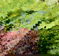 Apple Tree Creek - Accommodation Brisbane