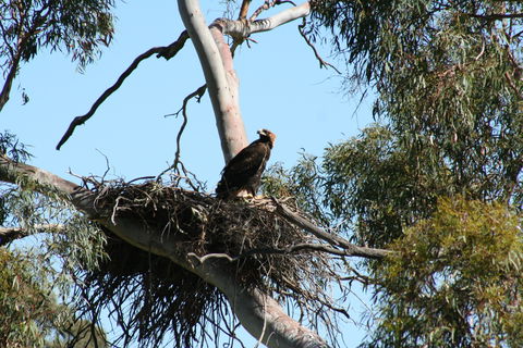 Castle Creek Reserve - Accommodation Brisbane 0