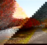 Charles Sturt University Winery - Accommodation Brisbane