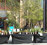 Clare Show Market - Accommodation Brisbane