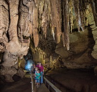 Cutta Cutta Caves Nature Park - Accommodation Brisbane