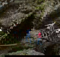 Dig the Tropic - Accommodation Brisbane