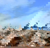 Dirk Hartog Island National Park - Accommodation Brisbane