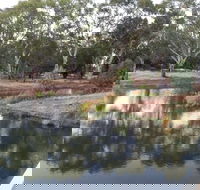 Green Corridor Walking Track - Accommodation Brisbane