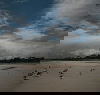 Hardwicke Bay - Accommodation Brisbane