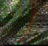 Hidden Treasure Track - Accommodation Brisbane