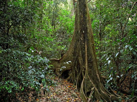 Iluka Nature Reserve - Accommodation Brisbane 0