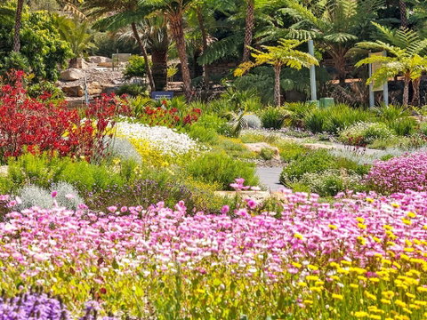 Jurassic Garden AR Experience - Accommodation Brisbane 0