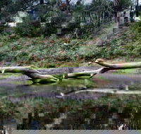 Kayaking Upper Tuross River and Bumbo Lake - Accommodation Brisbane