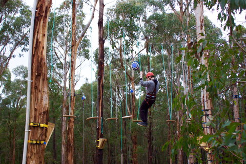 Kinglake Forest Adventures - Accommodation Brisbane 0