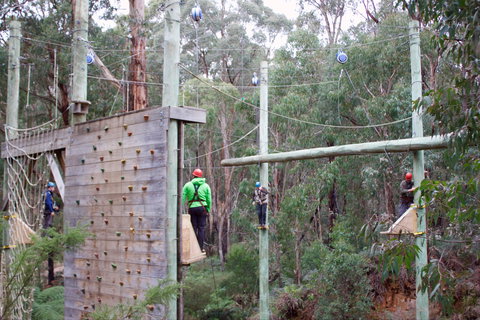 Kinglake Forest Adventures - Accommodation Brisbane 1