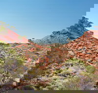 Lark Quarry Conservation Park - Accommodation Brisbane