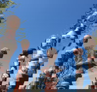 Mansfield Arts Walk - Accommodation Brisbane