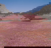 Meekatharra