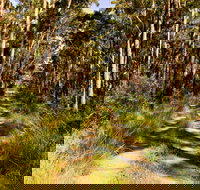 Mining Road Fire Trail Old Gibber Road Rire Trail - Accommodation Brisbane