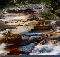 Mothar Mountain Rockpools - Accommodation Brisbane
