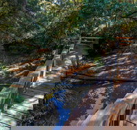 Ms Kellys Walking Track - Accommodation Brisbane