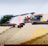 Mullaley - Accommodation Brisbane