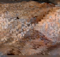 Ngamadjidj Shelter - Wartook Valley - Accommodation Brisbane