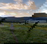 Numinbah Valley Adventure  Camping - Accommodation Brisbane