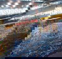 Oasis Regional Aquatic Centre - Accommodation Brisbane