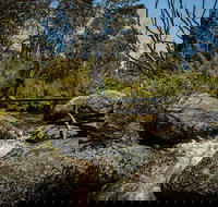 Pallaibo walking track - Accommodation Brisbane