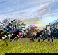 Port Macquarie Horse Riding Centre - Accommodation Brisbane