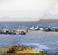 Portarlington - Accommodation Brisbane