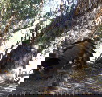 PS Providence historic site - Accommodation Brisbane