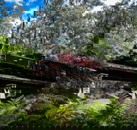 Puffing Billy Railway - Accommodation Brisbane