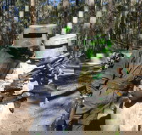 Rapid Fire Paintball - Accommodation Brisbane