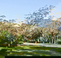 Red Cedar Flat Picnic Area - Accommodation Brisbane